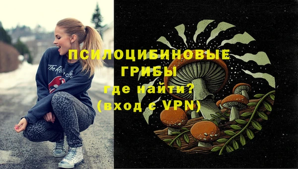 СК Киреевск